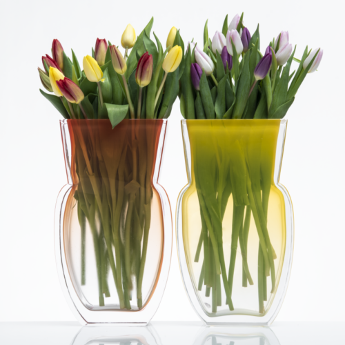 Tulip